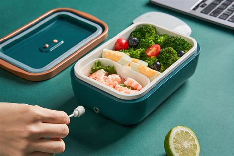 can i put my electric lunch box in the fridge|electric lunch box heating.